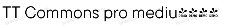 TT Commons pro mediu字体转换